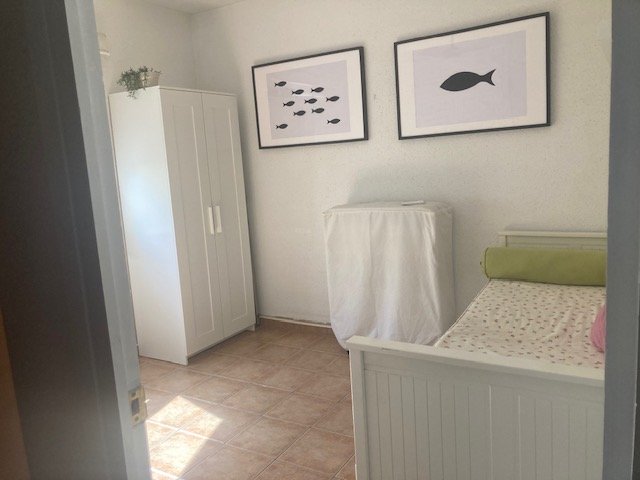 Habitación peces